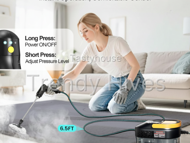 Powerful Steam Cleaner