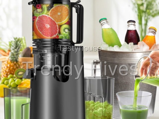 DARKIRON Cold Press Juicer