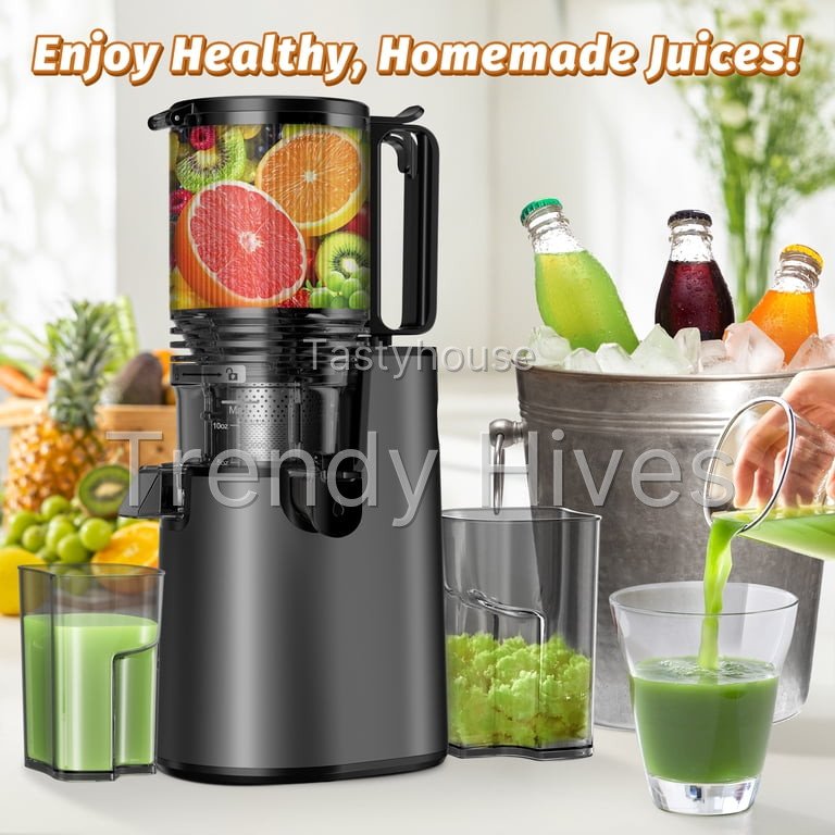 DARKIRON Cold Press Juicer