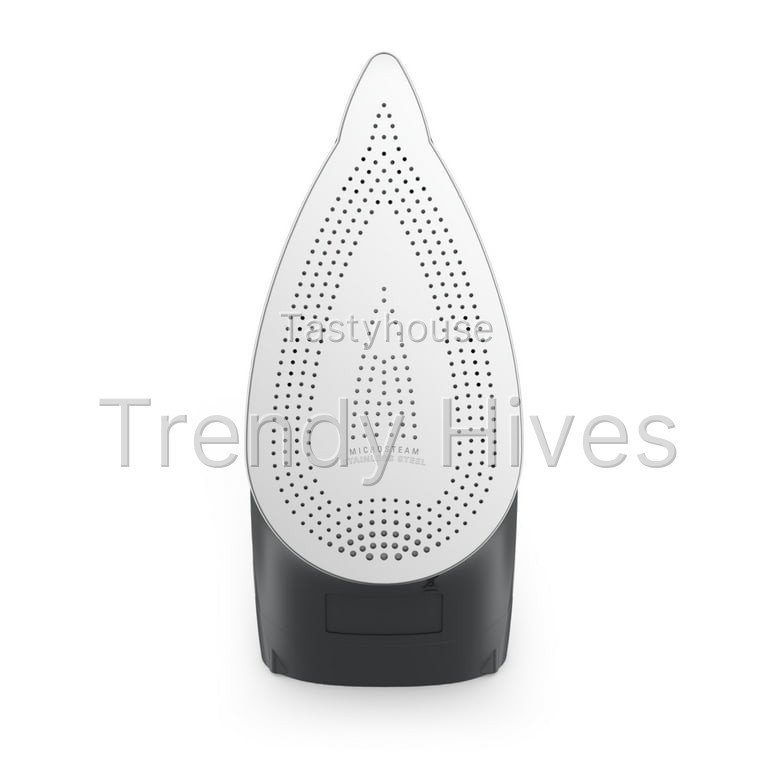 Rowenta Performance Steam Iron for Clothes