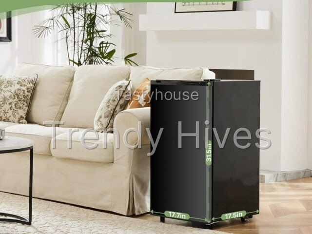 Mini Fridge for Bedroom