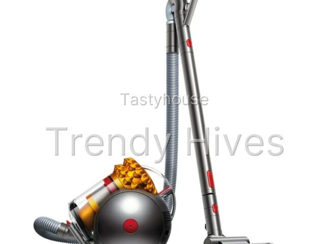Dyson Big Ball Turbinehead Canister Vacuum