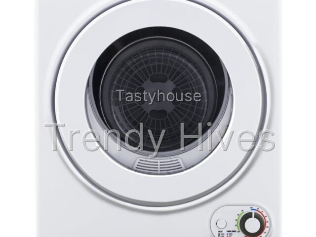 Portable Clothes Dryer