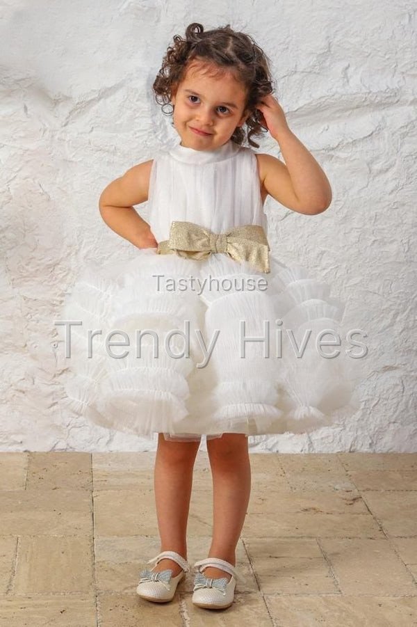 Enchante Elegance Dress