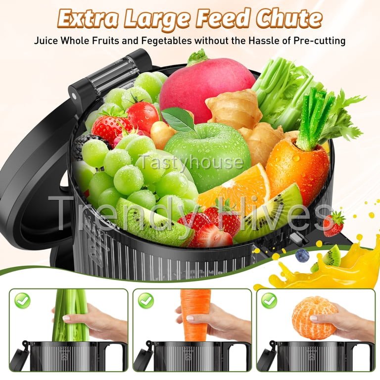 DARKIRON Cold Press Juicer